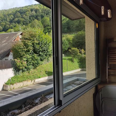 Appartement Confortable Saint Lary Village 외부 사진